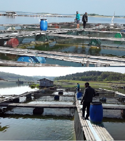 Usaha tenak ikan Karamba Milik  Sarno